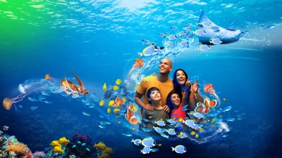 Аквариум (A1)